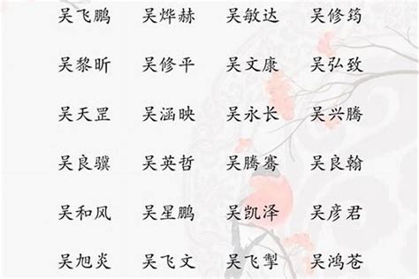 吳姓取名|姓吳名字大全，姓吳男孩名字，男孩名字大全，男寶寶取名字大全